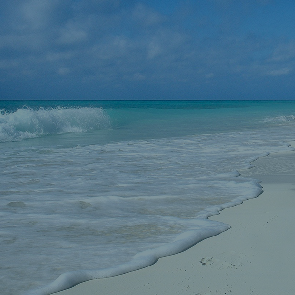 Zon, zee… en loopbaanreflectie?