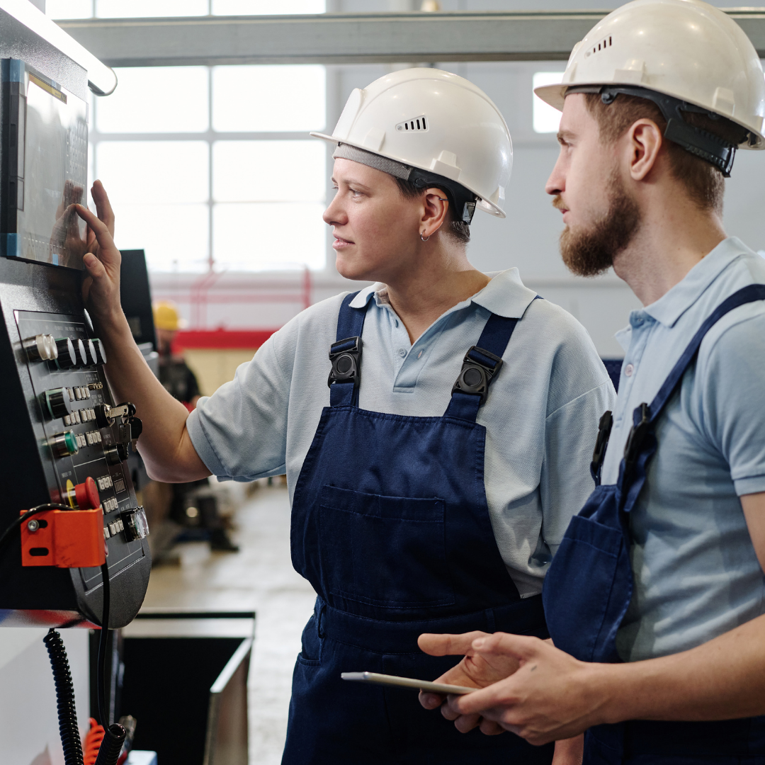 De veelzijdigheid van Pamela